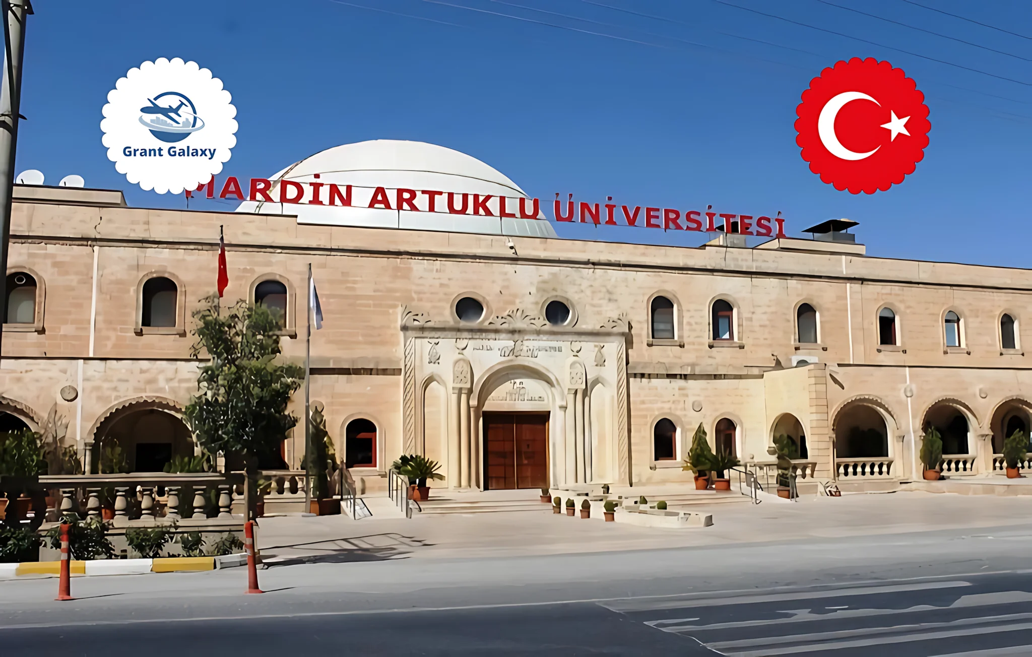 جامعة ماردين ارطوكلو